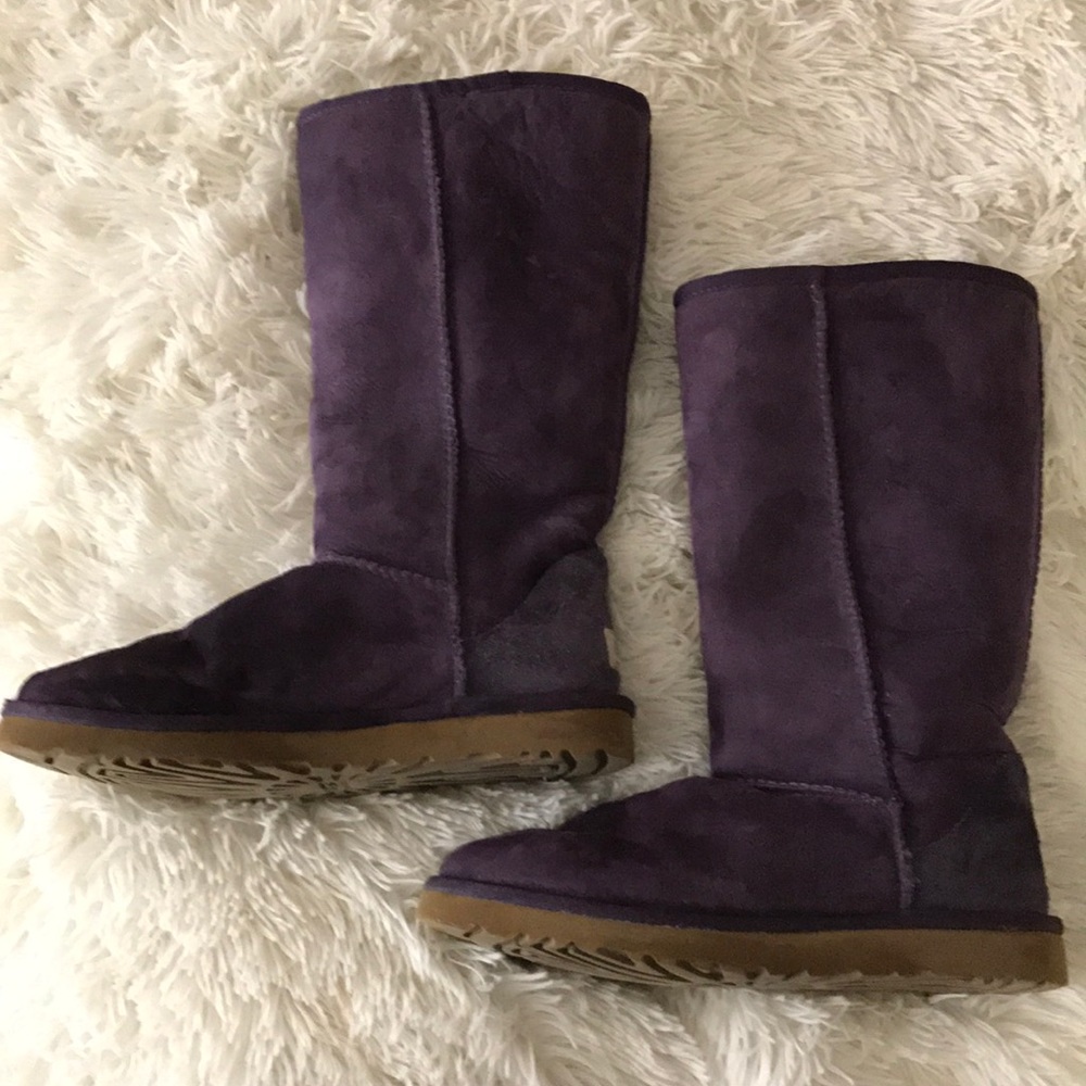Classic Tall Ugg Boots || Purple